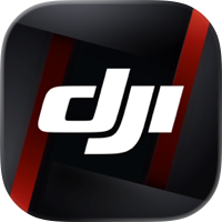DJI Ronin