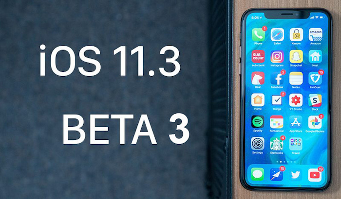 beta 3 de ios 11.3