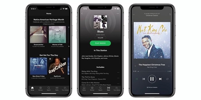 Spotify agrega soporte para las pantallas del iPhone XR / XS Max y Apple Watch Series 4