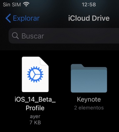  iOSMac Cómo instalar la beta de iOS 14 y iPadOS 14 sin ser desarrollador  