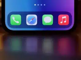 safari